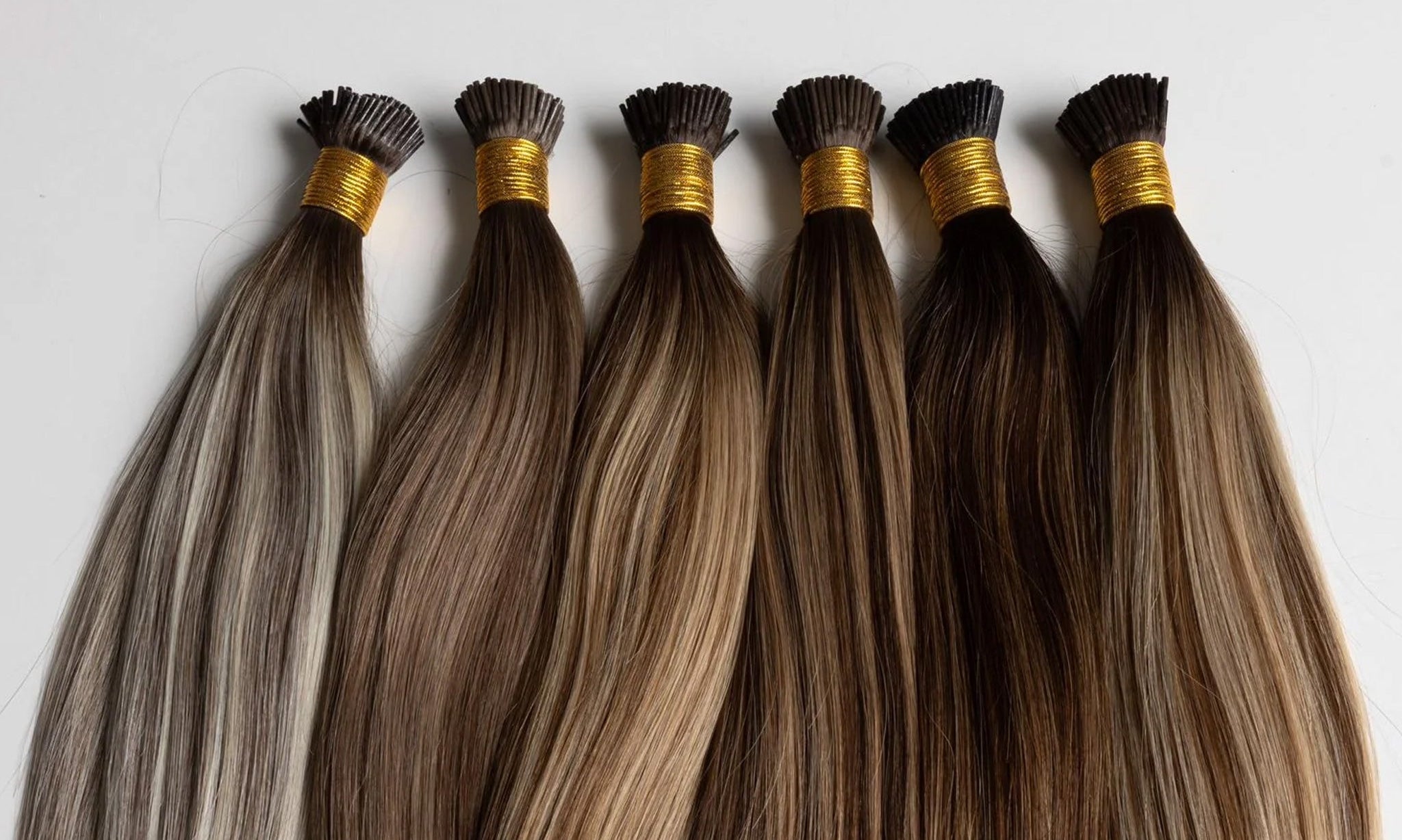 Brown Toned Highlights Collection